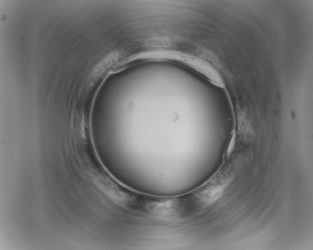 X0000070380068200606121303