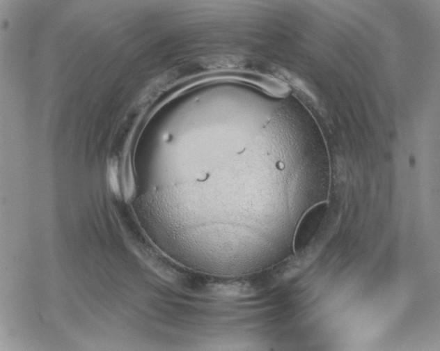 X0000070380069200606121303