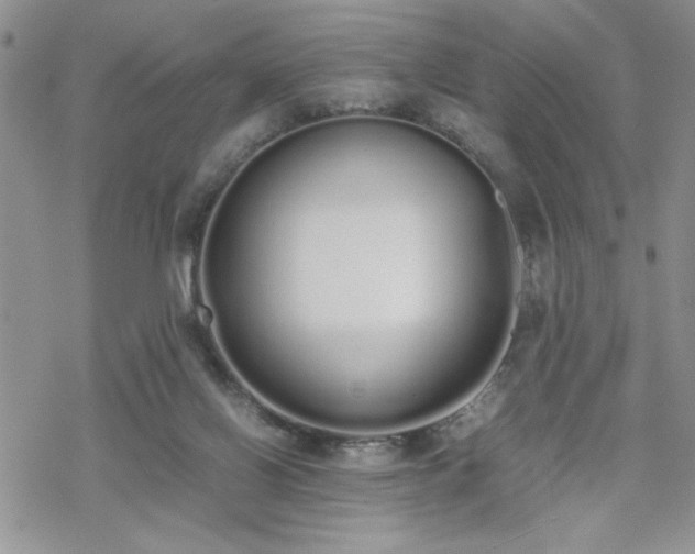 X0000070380070200606121303