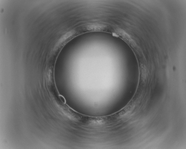 X0000070380071200606121303