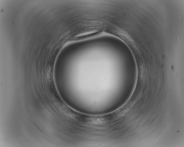 X0000070380073200606121303