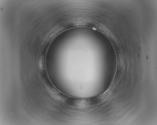 X0000070380074200606121303