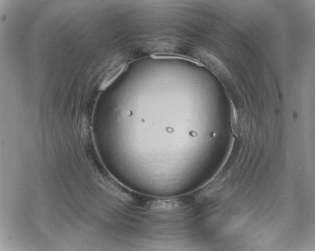 X0000070380077200606121303