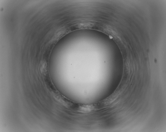 X0000070380079200606121303