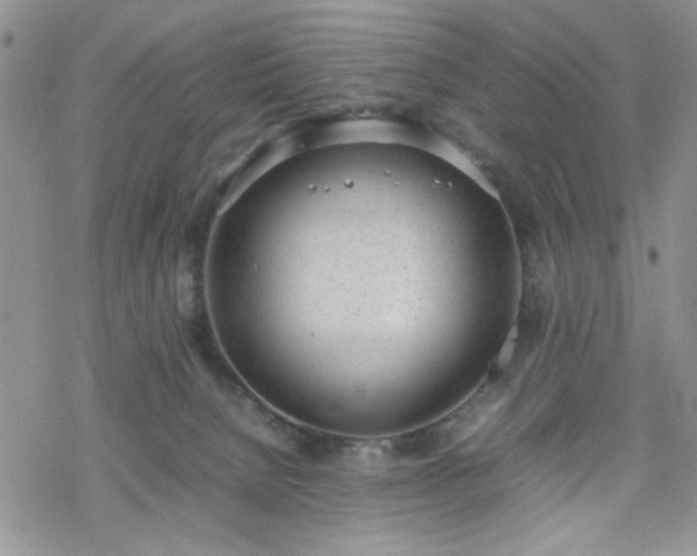 X0000070380080200606121303