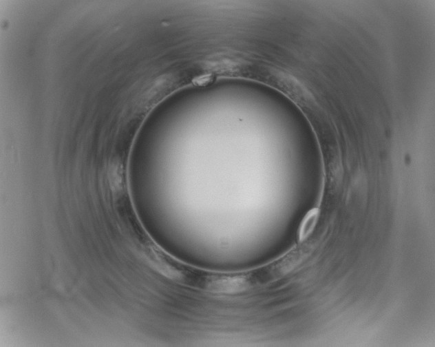 X0000070380081200606121303