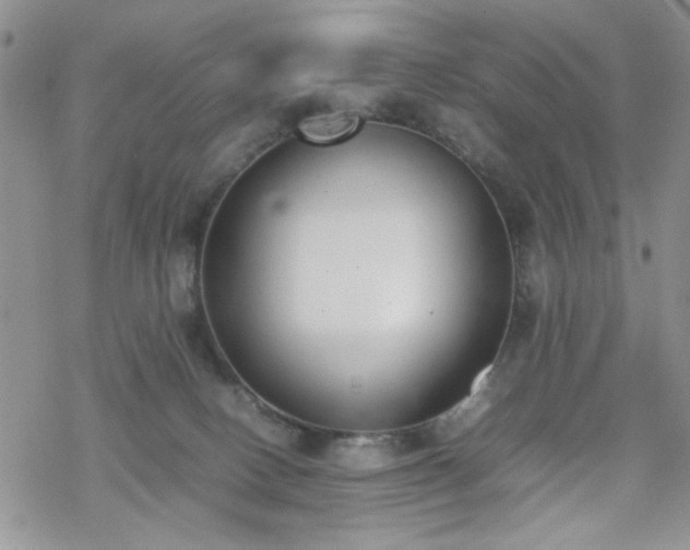 X0000070380082200606121303