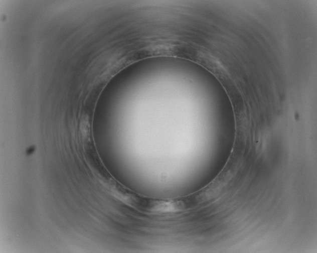 X0000070380083200606121303