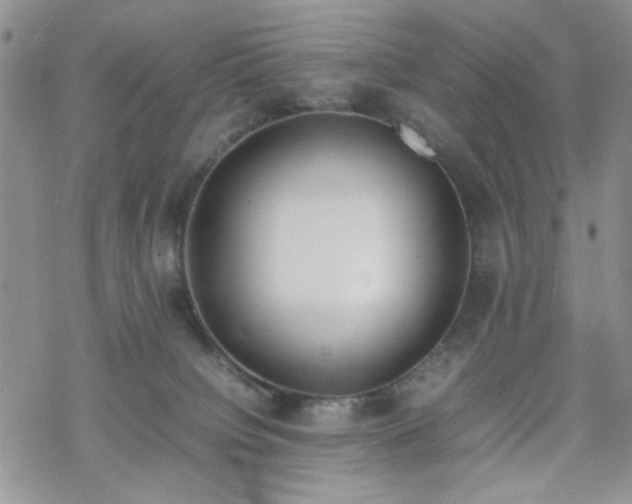 X0000070380084200606121303