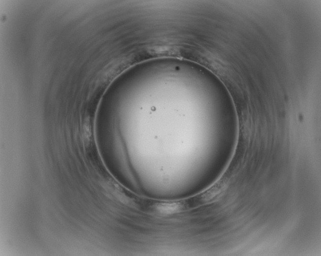 X0000070380085200606121303