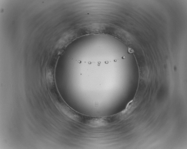 X0000070380086200606121303