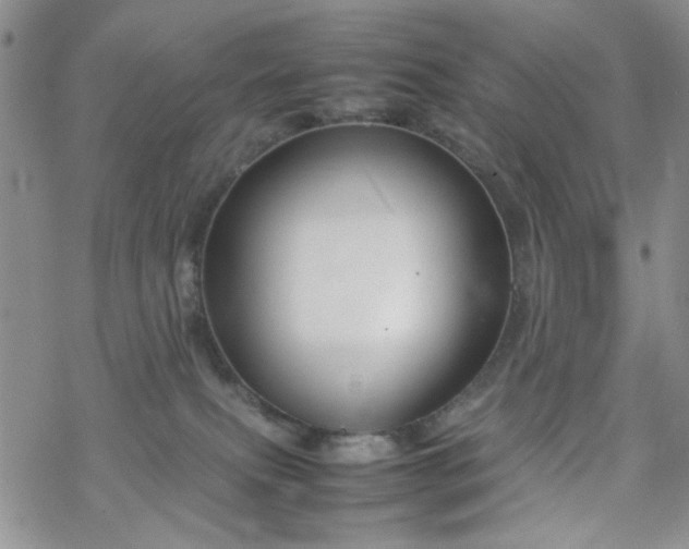 X0000070380087200606121303