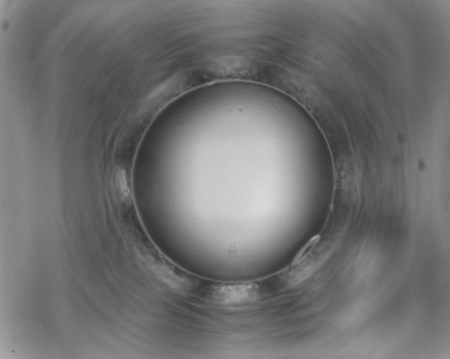 X0000070380089200606121303