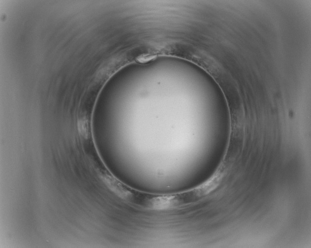 X0000070380090200606121303