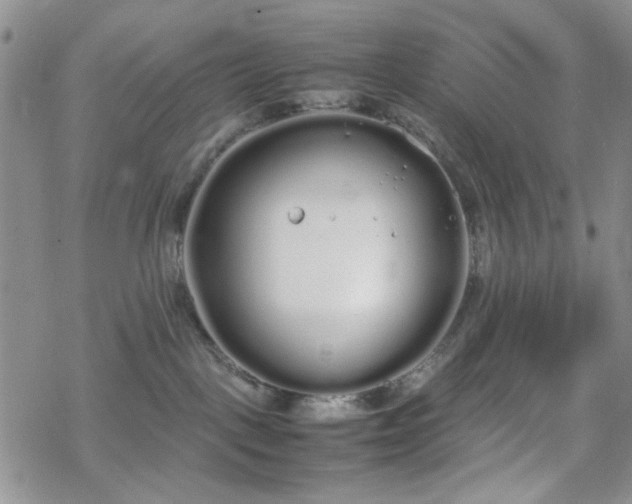 X0000070380093200606121303