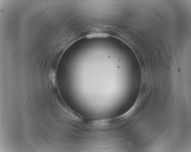 X0000070380094200606121303