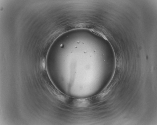 X0000070380095200606121303