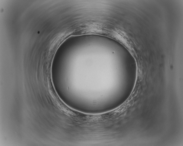 X0000070380097200606121303