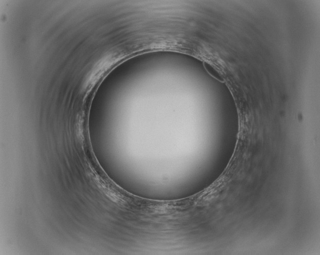 X0000070380098200606121303