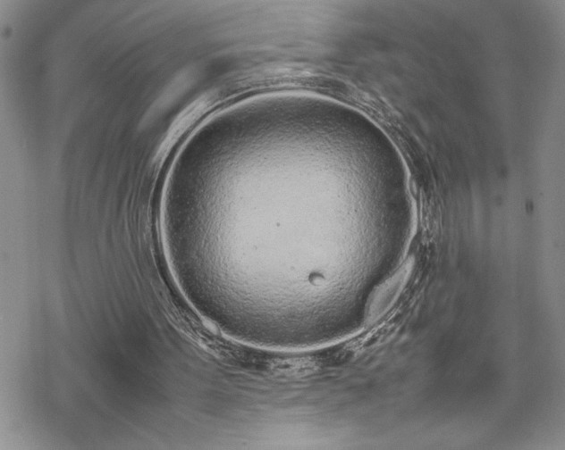 X0000070380099200606121303