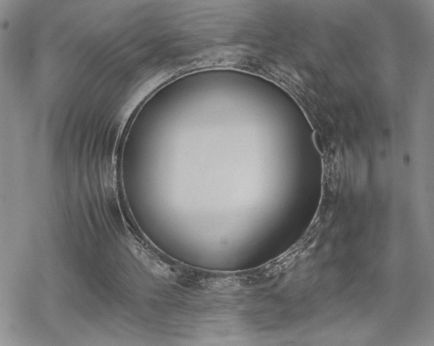 X0000070380100200606121303