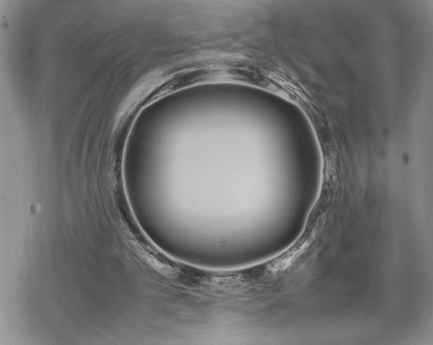 X0000070380101200606121302