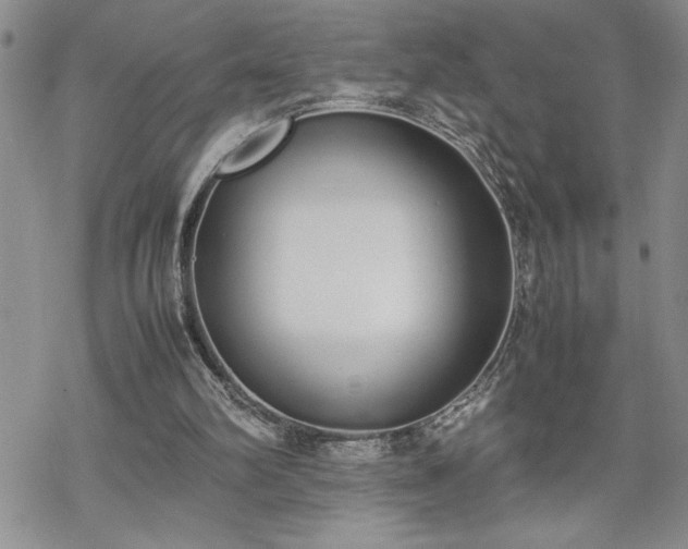 X0000070380102200606121302