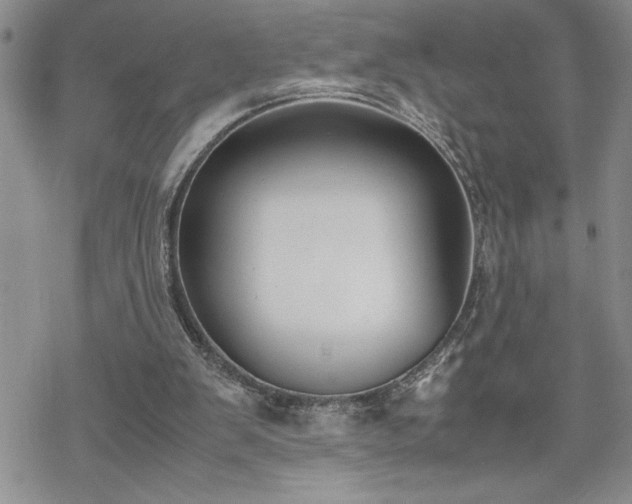 X0000070380103200606121302