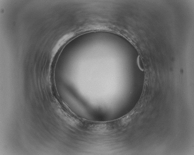 X0000070380104200606121302