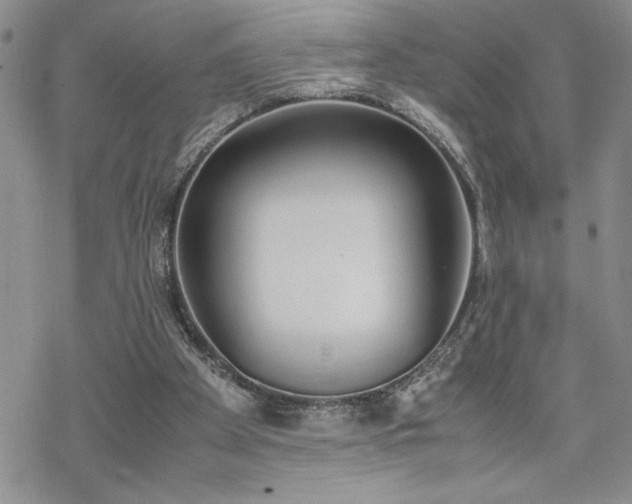 X0000070380105200606121302