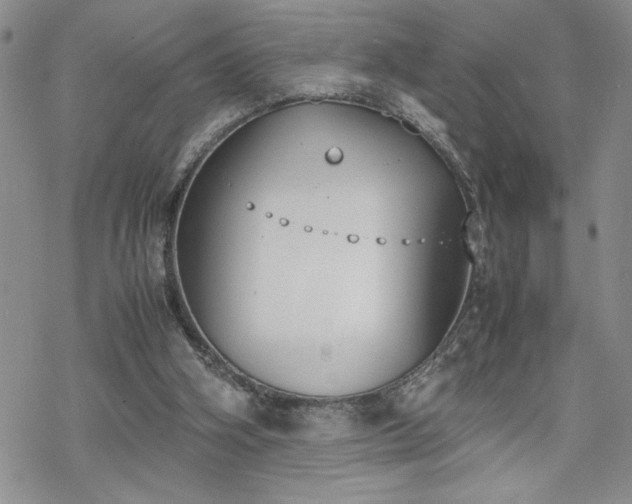 X0000070380106200606121302