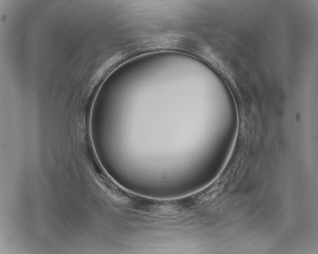 X0000070380107200606121302