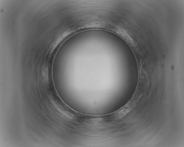 X0000070380108200606121302