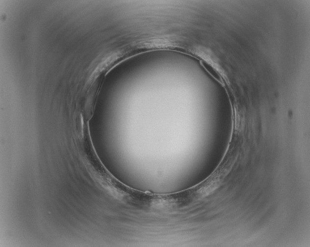 X0000070380109200606121302