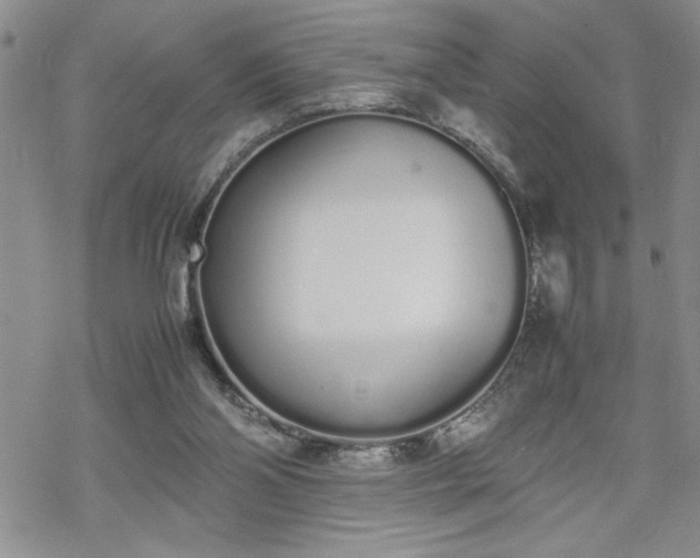 X0000070380110200606121302