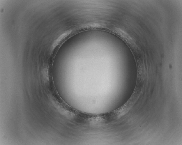 X0000070380112200606121302