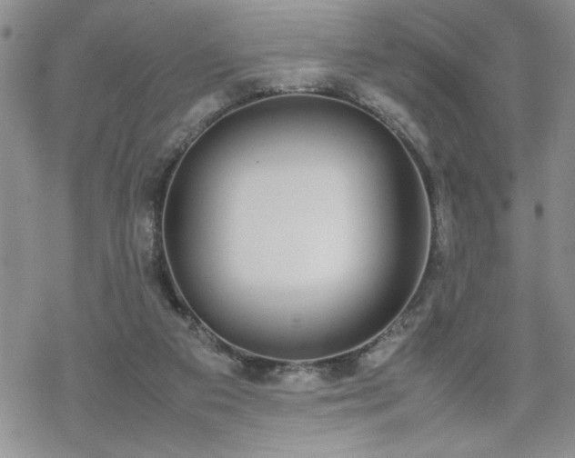 X0000070380113200606121302