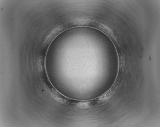 X0000070380114200606121302