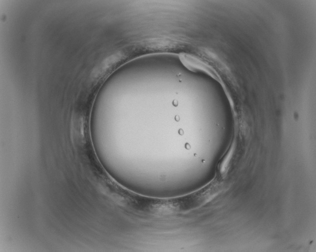 X0000070380115200606121302