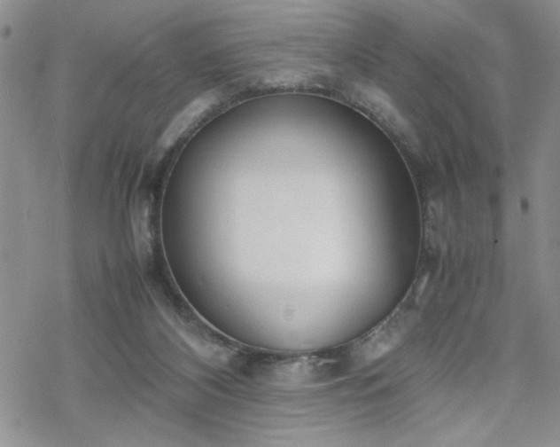 X0000070380116200606121302