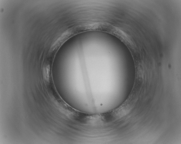 X0000070380118200606121302