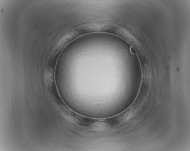 X0000070380119200606121302