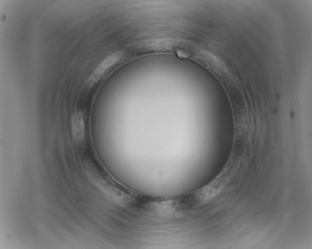 X0000070380120200606121302