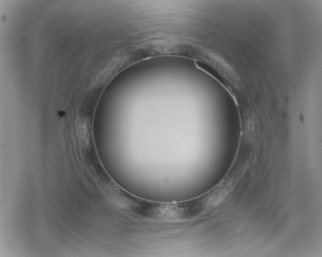 X0000070380121200606121302