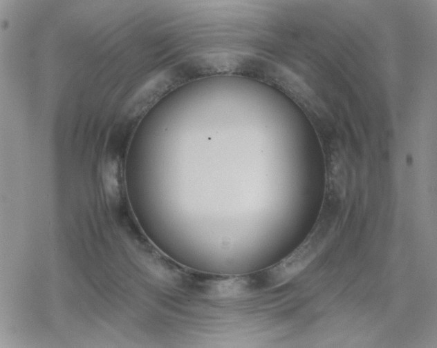 X0000070380122200606121302