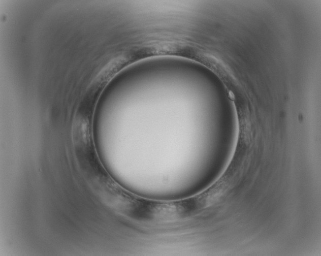 X0000070380123200606121302