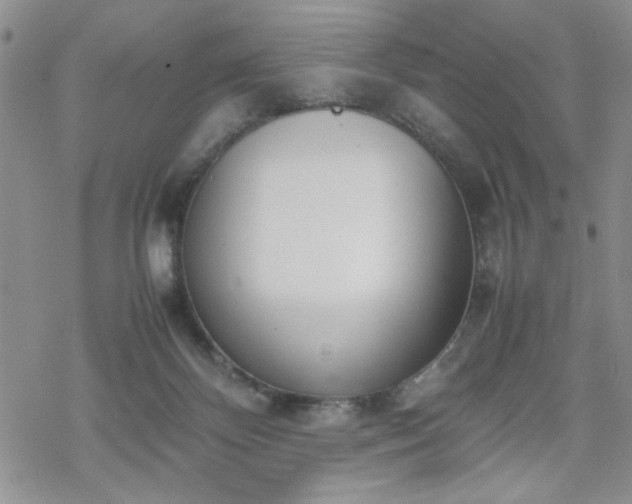 X0000070380124200606121302