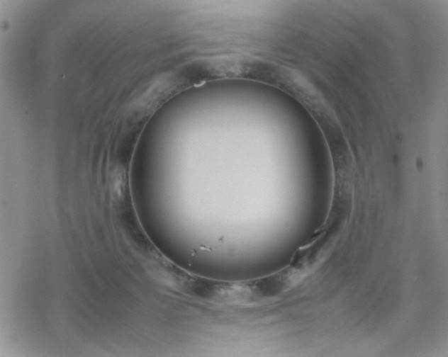 X0000070380125200606121302