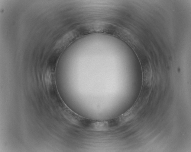 X0000070380126200606121302