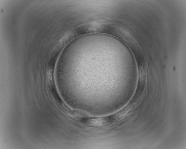 X0000070380127200606121302